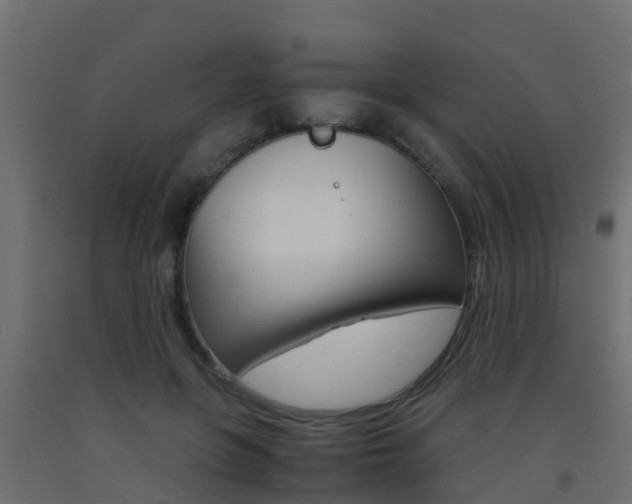 X0000093410551200710120918