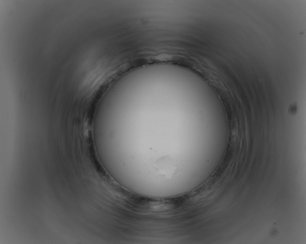 X0000093410555200710120918