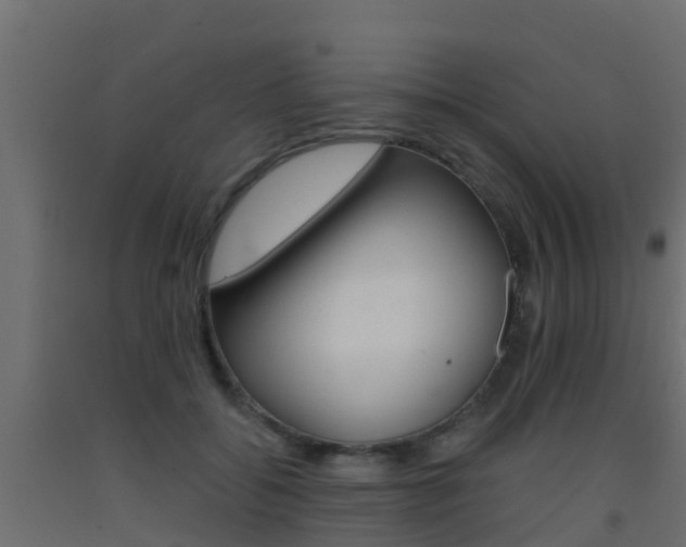 X0000093410556200710120918