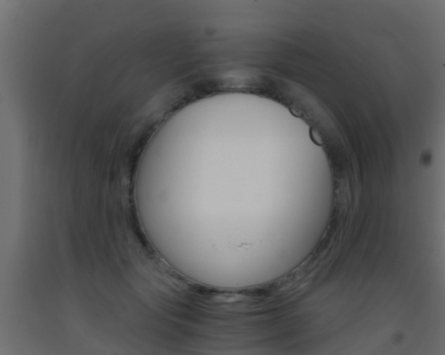 X0000093410557200710120918