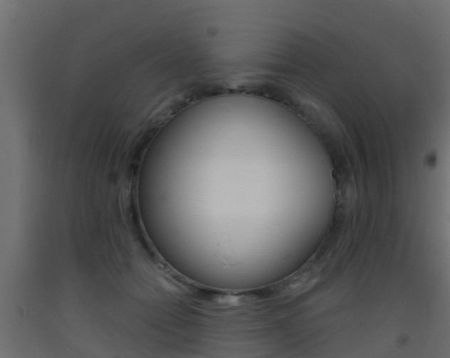 X0000093410558200710120918