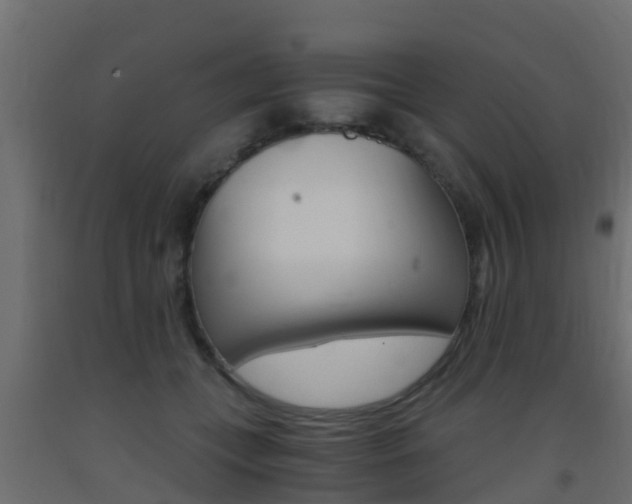 X0000093410559200710120918