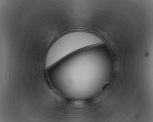 X0000093410560200710120918