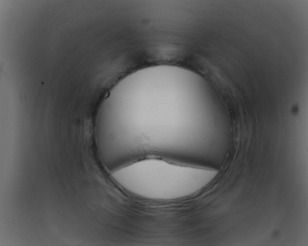 X0000093410563200710120918