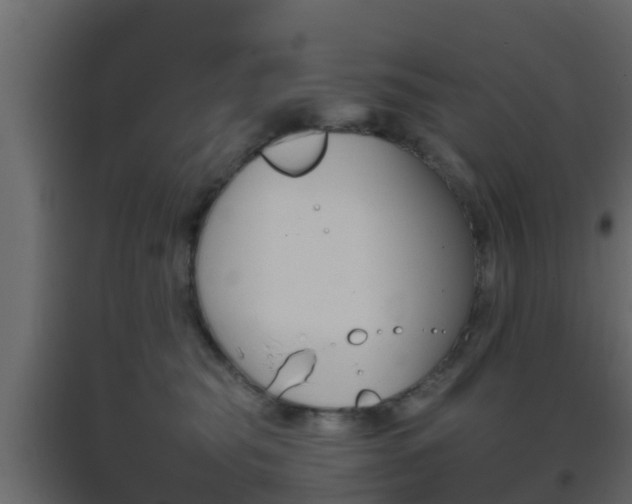 X0000093410565200710120918