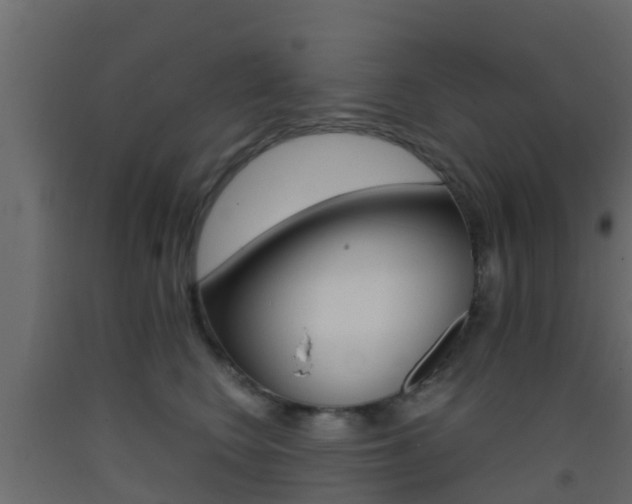 X0000093410566200710120918
