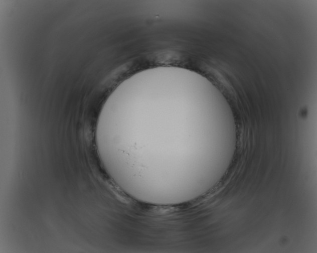 X0000093410569200710120918