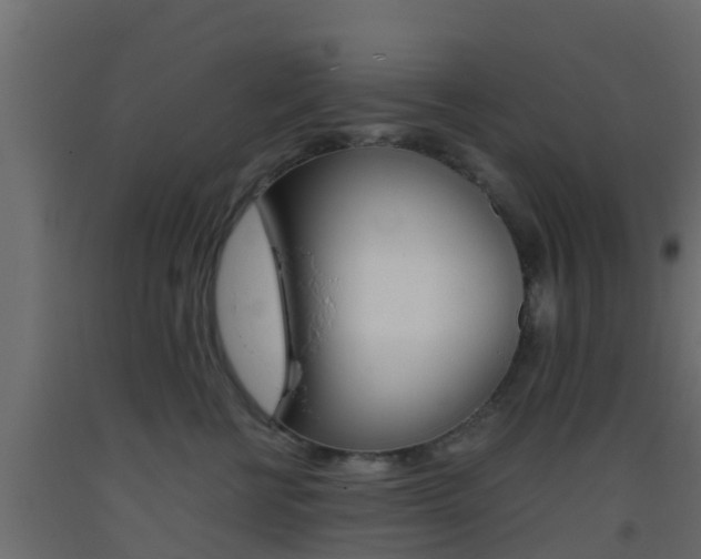 X0000093410570200710120918