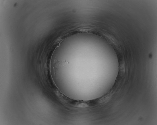 X0000093410572200710120918