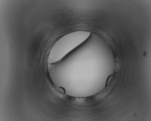 X0000093410573200710120918