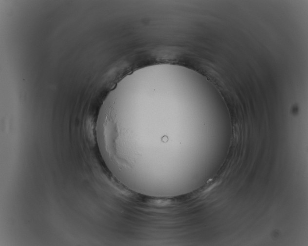 X0000093410575200710120918