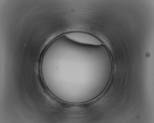 X0000093410578200710120918