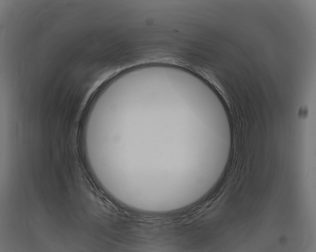 X0000093410579200710120918