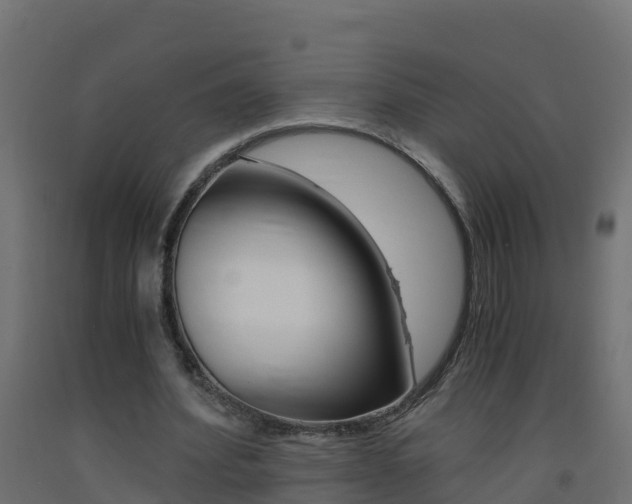X0000093410580200710120918
