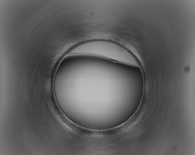 X0000093410581200710120918