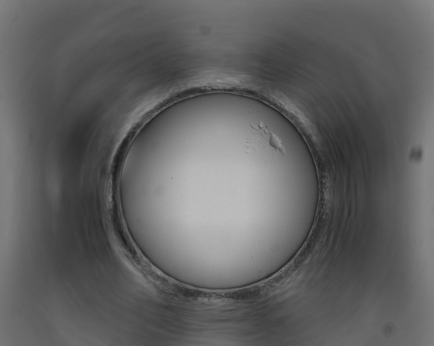 X0000093410582200710120918