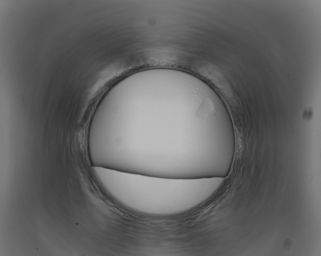 X0000093410583200710120918