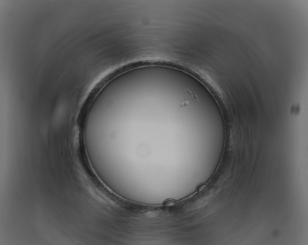 X0000093410584200710120918