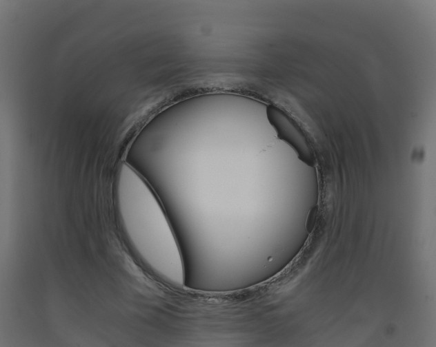 X0000093410585200710120918