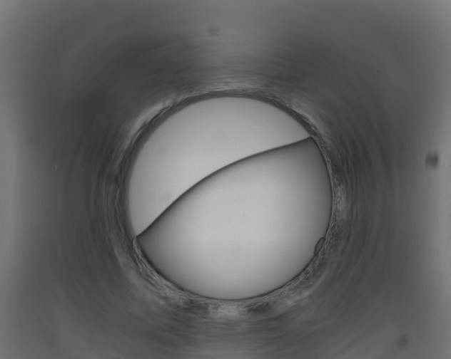 X0000093410587200710120918