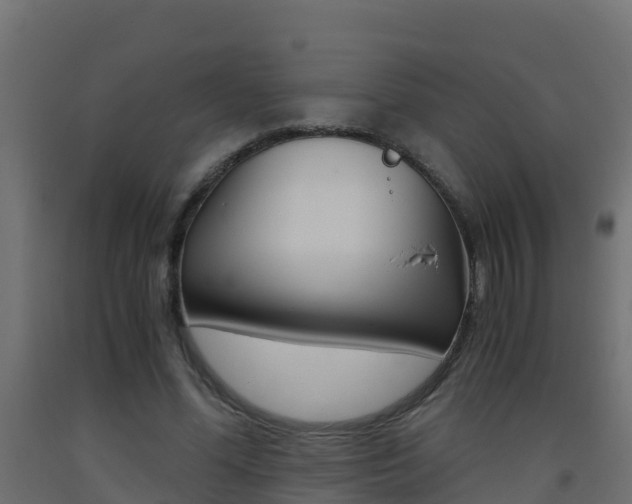 X0000093410588200710120918
