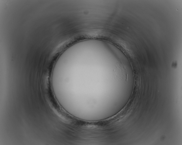 X0000093410590200710120918