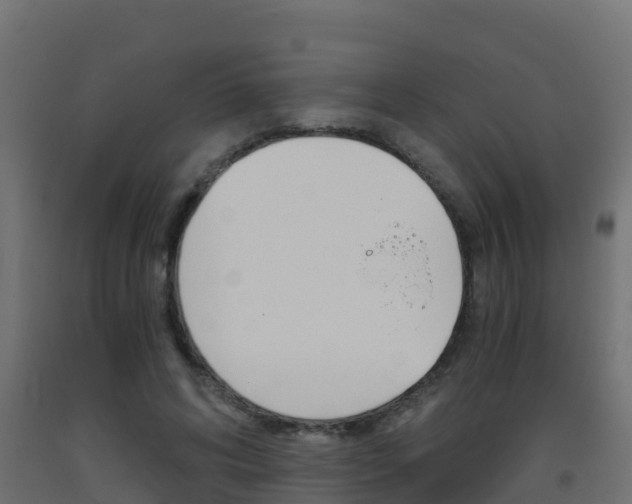 X0000093410592200710120918