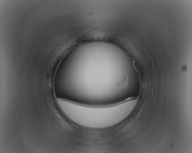 X0000093410593200710120918