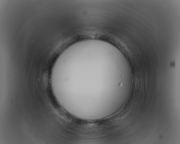 X0000093410594200710120918