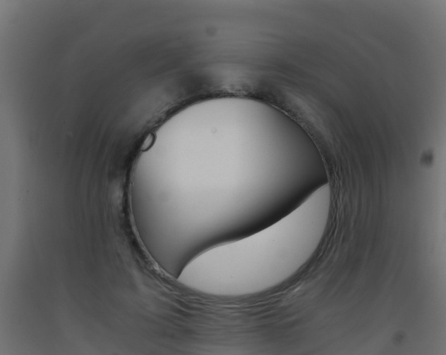 X0000093410595200710120918