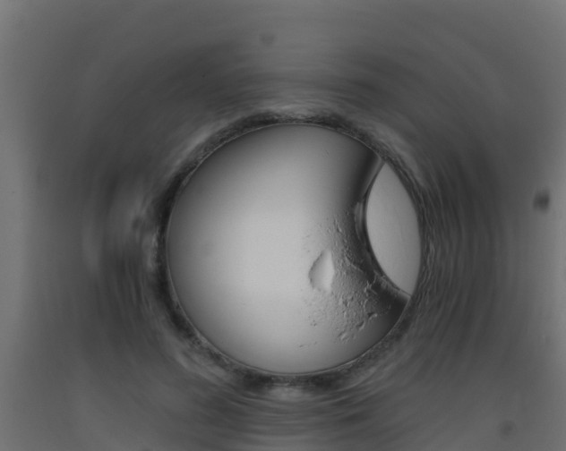 X0000093410596200710120917