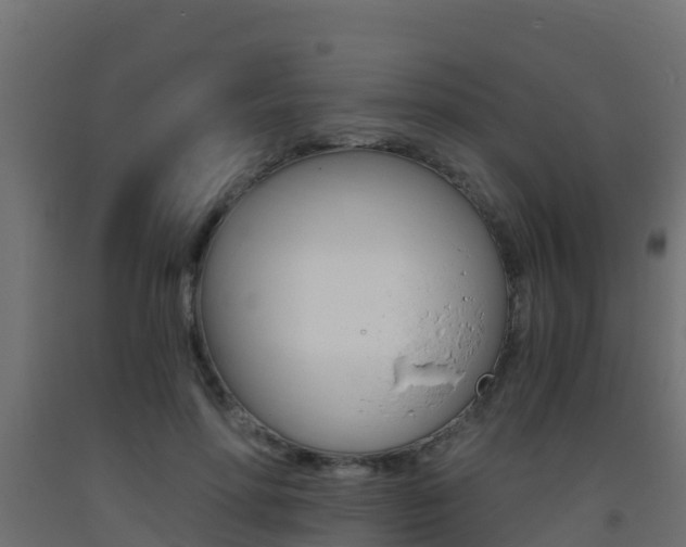 X0000093410598200710120917