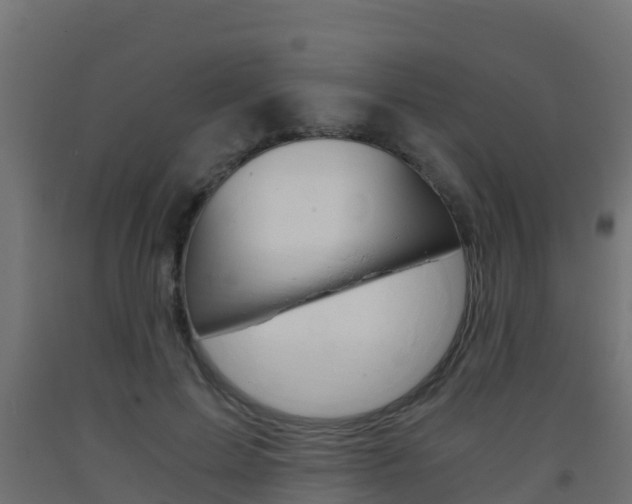 X0000093410599200710120917
