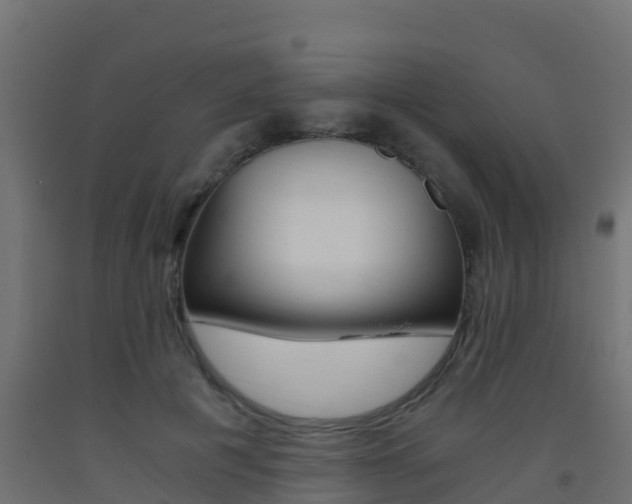 X0000093410601200710120917