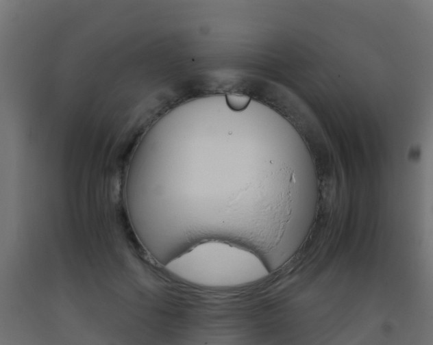 X0000093410602200710120917