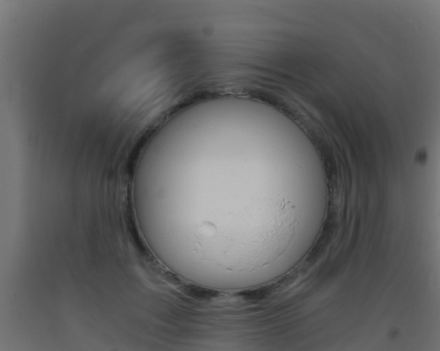 X0000093410603200710120917