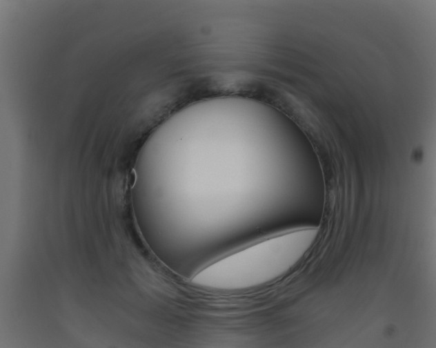 X0000093410605200710120917