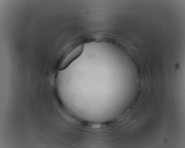 X0000093410611200710120917
