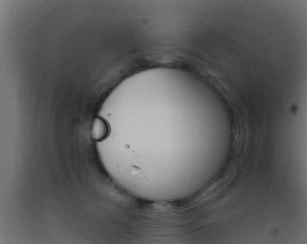 X0000093410612200710120917
