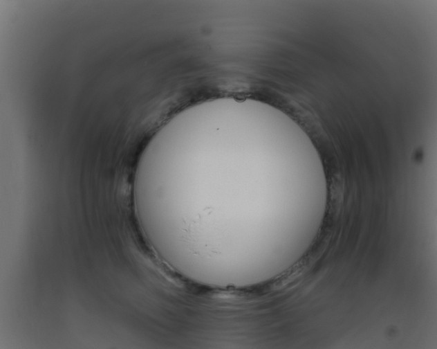 X0000093410614200710120917