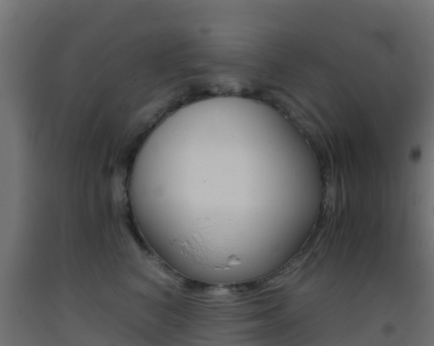 X0000093410616200710120917