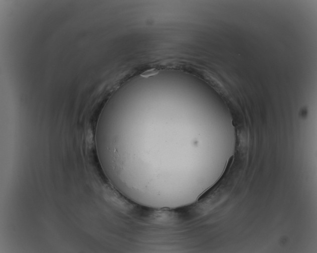 X0000093410617200710120917