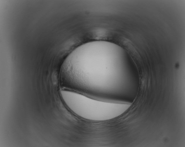 X0000093410620200710120917