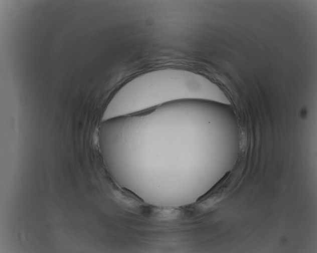 X0000093410621200710120917