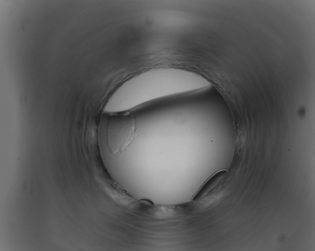 X0000093410623200710120917
