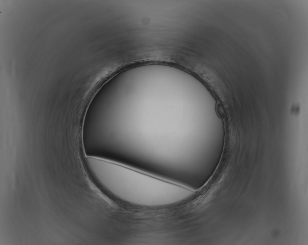 X0000093410625200710120916