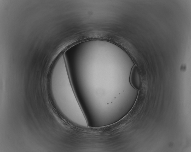 X0000093410626200710120916
