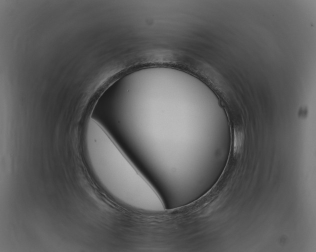 X0000093410627200710120916