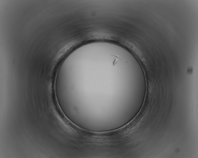 X0000093410629200710120916