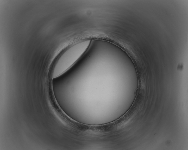 X0000093410630200710120916